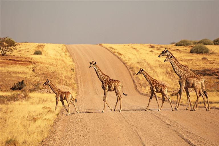 Namibia mit Viktoriafällen und Caprivi ©JurgaR/istock